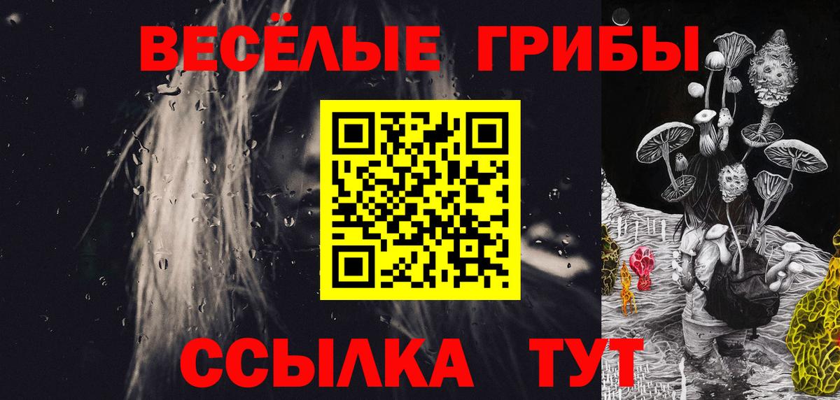 Менделеевск  Псилоцибиновые грибы ЛСД  закладка  Вход с VPN 